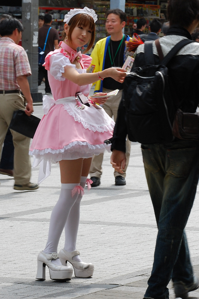 Maid-rose