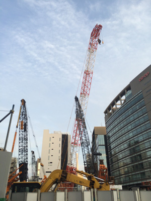 Tokyo_crane2_2892-small